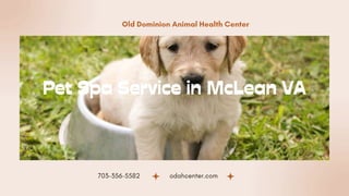 Pet Spa Service in McLean VA