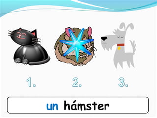 un hámster
 