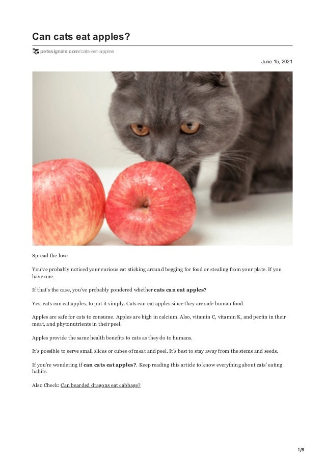 cat eats apple