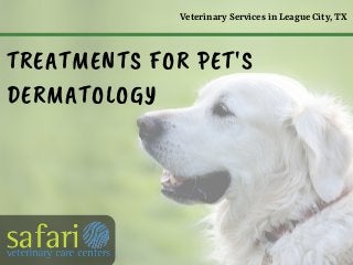 TREATMENTS FOR PET'S
DERMATOLOGY
Veterinary Services in League City, TX
 