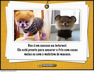 Boo é um sucesso na internet.
                                  Ele está pronto para encarar o frio com essas
                                        meias ou com o moletom de macaco.



sexta-feira, 8 de março de 2013
 