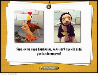 Tuna exibe suas fantasias, mas será que ele está
                                            gostando mesmo?




sexta-feira, 8 de março de 2013
 