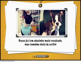 Bosco já é um cãozinho mais recalcado,
                                       mas também cheio de estilo!




sexta-feira, 8 de março de 2013
 