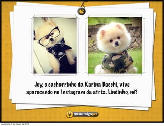 Joy, o cachorrinho da Karina Bacchi, vive
                            aparecendo no Instagram da atriz. Lindinho, né?




sexta-feira, 8 de março de 2013
 