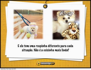 E ele tem uma roupinha diferente para cada
                                      situação. Não é a coisinha mais linda?




sexta-feira, 8 de março de 2013
 