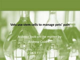 Vets use stem cells to manage pets’ pain  A closer look on the matter by:  Andrew Coldrick 