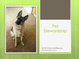 Pet
  Stewardship



By Pet Care and Rescue
petcareandrescue.com
 