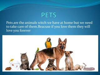 Pets are the animals witch we have at home but we need
to take care of them.Beacuse if you love them they will
love you forever
 