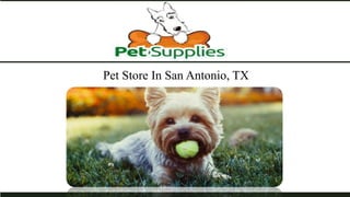 Pet Store In San Antonio, TX
 