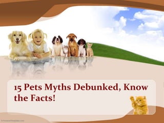 15 Pets Myths Debunked, Know the Facts! 
