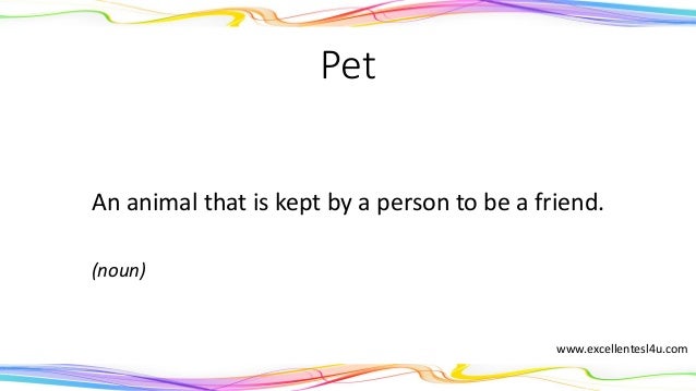ESL pets vocabulary flashcards