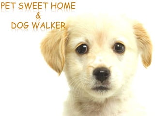 PET SWEET HOME
       &
  DOG WALKER
 