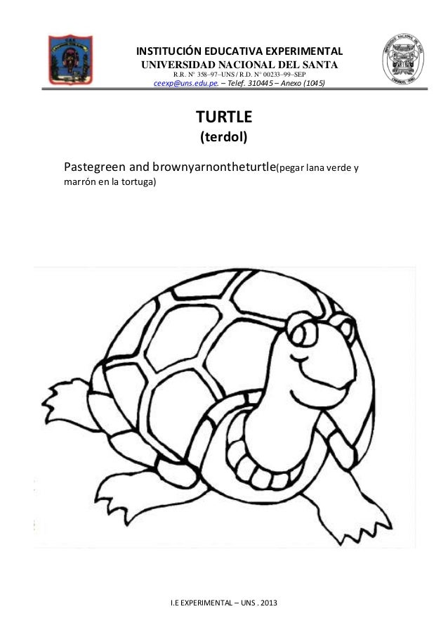 Pets worksheet for kindergarden