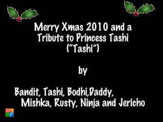 Merry Xmas 2010 and a Tribute to Princess Tashi (“Tashi”) by Bandit, Tashi, Bodhi,Daddy,  Mishka, Rusty, Ninja and Jericho 