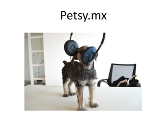 Petsy.mx 
 
