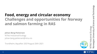 1
1
Food, energy and circular economy
Challenges and opportunities for Norway
and salmon farming in RAS
Johan Berg Pettersen
NTNU Industrial Ecology
johan.berg.pettersen@ntnu.no
Trondheim, AquaNor 2021August 26th 2021
 