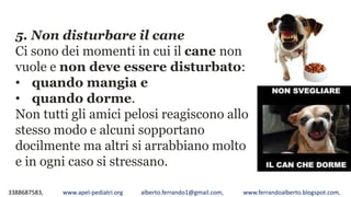3388687583, www.apel-pediatri.org alberto.ferrando1@gmail.com, www.ferrandoalberto.blogspot.com,
5. Non disturbare il cane
Ci sono dei momenti in cui il cane non
vuole e non deve essere disturbato:
• quando mangia e
• quando dorme.
Non tutti gli amici pelosi reagiscono allo
stesso modo e alcuni sopportano
docilmente ma altri si arrabbiano molto
e in ogni caso si stressano.
 