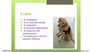 3388687583, www.apel-pediatri.org alberto.ferrando1@gmail.com, www.ferrandoalberto.blogspot.com,
Il cane
 È intelligente
 È un animale sociale
 È adattabile
 Facilmente addestrabile
 È propenso alla
cooperazione
 È predisposto a stabilire
relazioni affettive
 