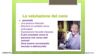 3388687583, www.apel-pediatri.org alberto.ferrando1@gmail.com, www.ferrandoalberto.blogspot.com,
 possiede
• una postura rilassata
• Momenti di contatto visivo
prolungato
• Espressione facciale rilassata
o È più orientato verso le
persone che verso altri
animali
o Ama essere accarezzato
toccato o abbracciato
La valutazione del cane
 