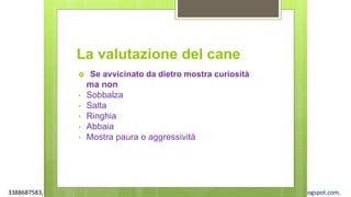 3388687583, www.apel-pediatri.org alberto.ferrando1@gmail.com, www.ferrandoalberto.blogspot.com,
La valutazione del cane
 Se avvicinato da dietro mostra curiosità
ma non
• Sobbalza
• Salta
• Ringhia
• Abbaia
• Mostra paura o aggressività
 