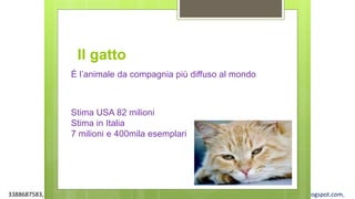 3388687583, www.apel-pediatri.org alberto.ferrando1@gmail.com, www.ferrandoalberto.blogspot.com,
Il gatto
È l’animale da compagnia più diffuso al mondo
Stima USA 82 milioni
Stima in Italia
7 milioni e 400mila esemplari
 