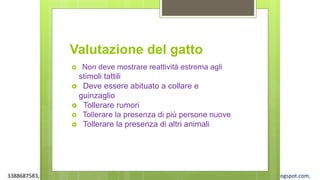 3388687583, www.apel-pediatri.org alberto.ferrando1@gmail.com, www.ferrandoalberto.blogspot.com,
Valutazione del gatto
 Non deve mostrare reattività estrema agli
stimoli tattili
 Deve essere abituato a collare e
guinzaglio
 Tollerare rumori
 Tollerare la presenza di più persone nuove
 Tollerare la presenza di altri animali
 