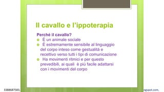 3388687583, www.apel-pediatri.org alberto.ferrando1@gmail.com, www.ferrandoalberto.blogspot.com,
Il cavallo e l’ippoterapia
Perché il cavallo?
 È un animale sociale
 È estremamente sensibile al linguaggio
del corpo inteso come gestualità e
recettivo verso tutti i tipi di comunicazione
 Ha movimenti ritmici e per questo
prevedibili, ai quali è più facile adattarsi
con i movimenti del corpo
 