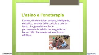 3388687583, www.apel-pediatri.org alberto.ferrando1@gmail.com, www.ferrandoalberto.blogspot.com,
L’asino e l’onoterapia
L'asino, d'indole dolce, curioso, intelligente,
empatico, amante delle coccole e con un
tasso di aggressività nullo, è
particolarmente adatto per soggetti che
hanno difficoltà relazionali, emotive ed
affettive.
 