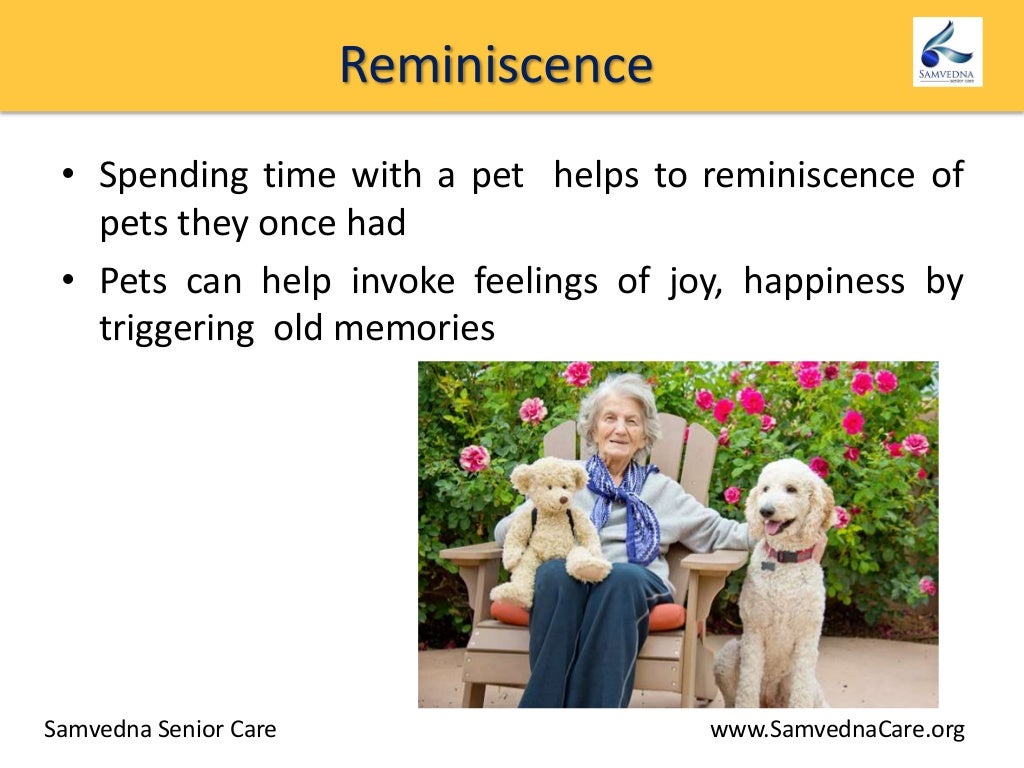 Six benefits of Pet Therapy for dementia patients