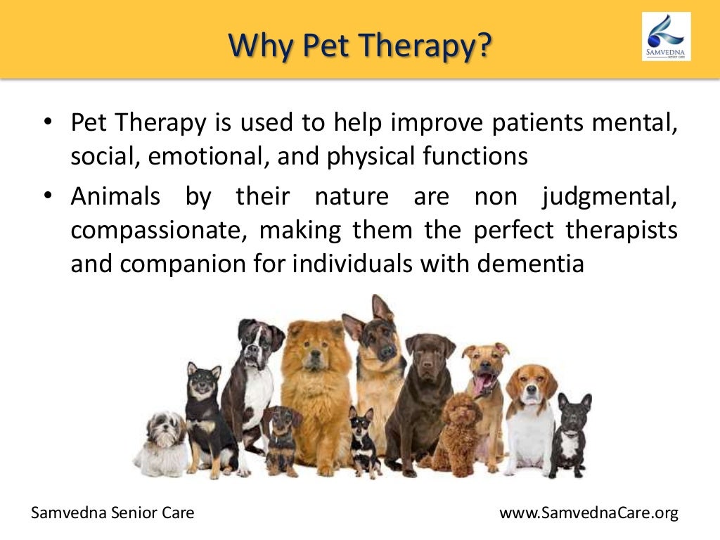 Six benefits of Pet Therapy for dementia patients