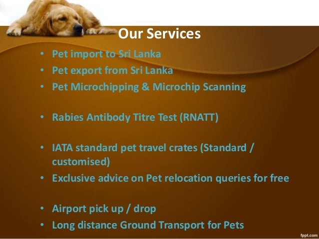 Ground Transport Dogs Pet
