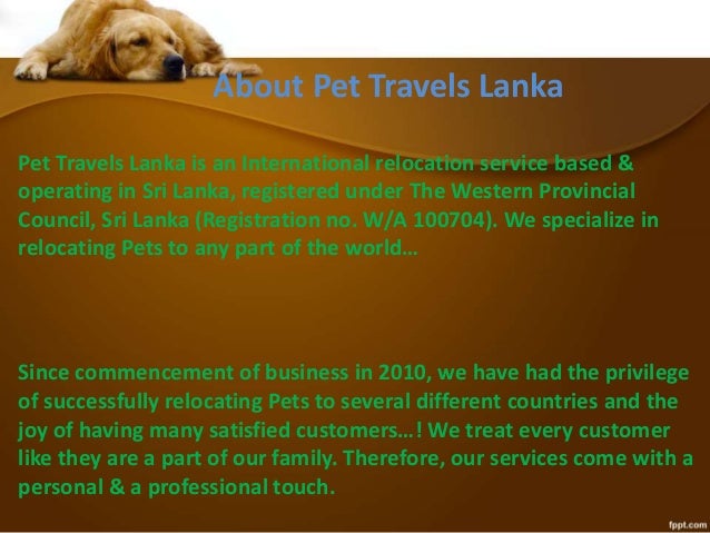 pet relocation services ground