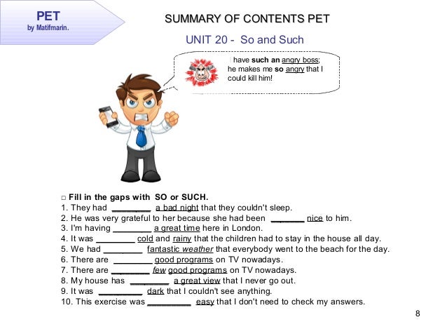 PET Unit 20 Summary of Contents PET
