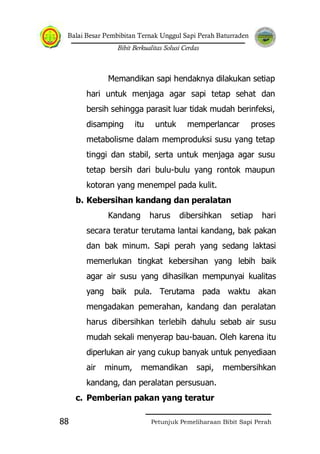 Balai Besar Pembibitan Ternak Unggul Sapi Perah Baturraden
Bibit Berkualitas Solusi Cerdas
Petunjuk Pemeliharaan Bibit Sapi Perah88
Memandikan sapi hendaknya dilakukan setiap
hari untuk menjaga agar sapi tetap sehat dan
bersih sehingga parasit luar tidak mudah berinfeksi,
disamping itu untuk memperlancar proses
metabolisme dalam memproduksi susu yang tetap
tinggi dan stabil, serta untuk menjaga agar susu
tetap bersih dari bulu-bulu yang rontok maupun
kotoran yang menempel pada kulit.
b. Kebersihan kandang dan peralatan
Kandang harus dibersihkan setiap hari
secara teratur terutama lantai kandang, bak pakan
dan bak minum. Sapi perah yang sedang laktasi
memerlukan tingkat kebersihan yang lebih baik
agar air susu yang dihasilkan mempunyai kualitas
yang baik pula. Terutama pada waktu akan
mengadakan pemerahan, kandang dan peralatan
harus dibersihkan terlebih dahulu sebab air susu
mudah sekali menyerap bau-bauan. Oleh karena itu
diperlukan air yang cukup banyak untuk penyediaan
air minum, memandikan sapi, membersihkan
kandang, dan peralatan persusuan.
c. Pemberian pakan yang teratur
 