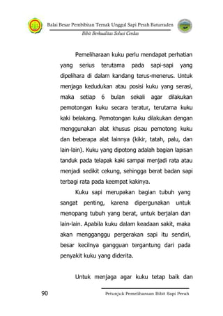 Balai Besar Pembibitan Ternak Unggul Sapi Perah Baturraden
Bibit Berkualitas Solusi Cerdas
Petunjuk Pemeliharaan Bibit Sapi Perah90
Pemeliharaan kuku perlu mendapat perhatian
yang serius terutama pada sapi-sapi yang
dipelihara di dalam kandang terus-menerus. Untuk
menjaga kedudukan atau posisi kuku yang serasi,
maka setiap 6 bulan sekali agar dilakukan
pemotongan kuku secara teratur, terutama kuku
kaki belakang. Pemotongan kuku dilakukan dengan
menggunakan alat khusus pisau pemotong kuku
dan beberapa alat lainnya (kikir, tatah, palu, dan
lain-lain). Kuku yang dipotong adalah bagian lapisan
tanduk pada telapak kaki sampai menjadi rata atau
menjadi sedikit cekung, sehingga berat badan sapi
terbagi rata pada keempat kakinya.
Kuku sapi merupakan bagian tubuh yang
sangat penting, karena dipergunakan untuk
menopang tubuh yang berat, untuk berjalan dan
lain-lain. Apabila kuku dalam keadaan sakit, maka
akan mengganggu pergerakan sapi itu sendiri,
besar kecilnya gangguan tergantung dari pada
penyakit kuku yang diderita.
Untuk menjaga agar kuku tetap baik dan
 