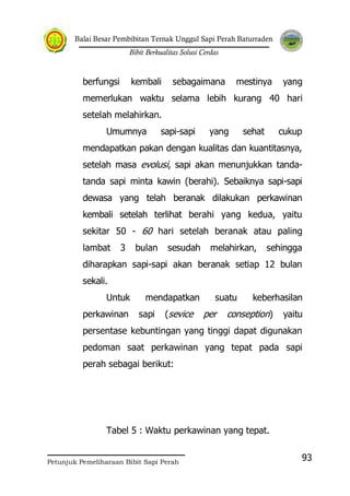 Balai Besar Pembibitan Ternak Unggul Sapi Perah Baturraden
Bibit Berkualitas Solusi Cerdas
Petunjuk Pemeliharaan Bibit Sapi Perah
93
berfungsi kembali sebagaimana mestinya yang
memerlukan waktu selama lebih kurang 40 hari
setelah melahirkan.
Umumnya sapi-sapi yang sehat cukup
mendapatkan pakan dengan kualitas dan kuantitasnya,
setelah masa evolusi, sapi akan menunjukkan tanda-
tanda sapi minta kawin (berahi). Sebaiknya sapi-sapi
dewasa yang telah beranak dilakukan perkawinan
kembali setelah terlihat berahi yang kedua, yaitu
sekitar 50 - 60 hari setelah beranak atau paling
lambat 3 bulan sesudah melahirkan, sehingga
diharapkan sapi-sapi akan beranak setiap 12 bulan
sekali.
Untuk mendapatkan suatu keberhasilan
perkawinan sapi (sevice per conseption) yaitu
persentase kebuntingan yang tinggi dapat digunakan
pedoman saat perkawinan yang tepat pada sapi
perah sebagai berikut:
Tabel 5 : Waktu perkawinan yang tepat.
 