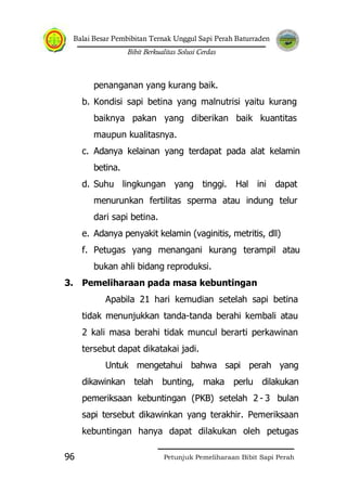 Balai Besar Pembibitan Ternak Unggul Sapi Perah Baturraden
Bibit Berkualitas Solusi Cerdas
Petunjuk Pemeliharaan Bibit Sapi Perah96
penanganan yang kurang baik.
b. Kondisi sapi betina yang malnutrisi yaitu kurang
baiknya pakan yang diberikan baik kuantitas
maupun kualitasnya.
c. Adanya kelainan yang terdapat pada alat kelamin
betina.
d. Suhu lingkungan yang tinggi. Hal ini dapat
menurunkan fertilitas sperma atau indung telur
dari sapi betina.
e. Adanya penyakit kelamin (vaginitis, metritis, dll)
f. Petugas yang menangani kurang terampil atau
bukan ahli bidang reproduksi.
3. Pemeliharaan pada masa kebuntingan
Apabila 21 hari kemudian setelah sapi betina
tidak menunjukkan tanda-tanda berahi kembali atau
2 kali masa berahi tidak muncul berarti perkawinan
tersebut dapat dikatakai jadi.
Untuk mengetahui bahwa sapi perah yang
dikawinkan telah bunting, maka perlu dilakukan
pemeriksaan kebuntingan (PKB) setelah 2 - 3 bulan
sapi tersebut dikawinkan yang terakhir. Pemeriksaan
kebuntingan hanya dapat dilakukan oleh petugas
 