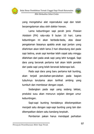Balai Besar Pembibitan Ternak Unggul Sapi Perah Baturraden
Bibit Berkualitas Solusi Cerdas
Petunjuk Pemeliharaan Bibit Sapi Perah
97
yang mengetahui alat reperoduksi sapi dan telah
berpengalaman atau oleh dokter hewan.
Lama kebuntingan sapi perah jenis Friesian
Holstein (FH) rata-rata 9 bulan 10 hari. Lama
kebuntingan ini akan berbeda-beda, atas dasar
pengalaman biasanya apabila anak sapi jantan yang
dilahirkan akan lebih lama 2 hari dikandung dari pada
sapi betina, anak sapi kembar lebih cepat satu minggu
dilahirkan dari pada anak sapi yang lahir tunggal. Sapi
dara yang beranak pertama kali akan lebih pendek
dari pada sapi yang telah beranak beberapa kali.
Pada sapi dara yang baru pertama kali bunting,
akan terjadi perubahan-perubahan pada bagian
tubuhnya terutama akan terlihat ambing yang
tumbuh dan membesar dengan cepat.
Sedangkan pada sapi yang sedang laktasi,
produksi susu akan menurun sejalan dengan umur
kebuntingan.
Sapi-sapi bunting hendaknya dikelompokkan
menjadi satu dengan sapi-sapi bunting yang lain dan
ditempatkan dalam satu kandang terpisah.
Pemberian pakan harus mendapat perhatian
 