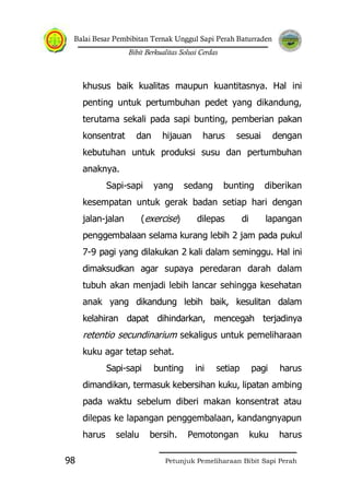 Balai Besar Pembibitan Ternak Unggul Sapi Perah Baturraden
Bibit Berkualitas Solusi Cerdas
Petunjuk Pemeliharaan Bibit Sapi Perah98
khusus baik kualitas maupun kuantitasnya. Hal ini
penting untuk pertumbuhan pedet yang dikandung,
terutama sekali pada sapi bunting, pemberian pakan
konsentrat dan hijauan harus sesuai dengan
kebutuhan untuk produksi susu dan pertumbuhan
anaknya.
Sapi-sapi yang sedang bunting diberikan
kesempatan untuk gerak badan setiap hari dengan
jalan-jalan (exercise) dilepas di lapangan
penggembalaan selama kurang lebih 2 jam pada pukul
7-9 pagi yang dilakukan 2 kali dalam seminggu. Hal ini
dimaksudkan agar supaya peredaran darah dalam
tubuh akan menjadi lebih lancar sehingga kesehatan
anak yang dikandung lebih baik, kesulitan dalam
kelahiran dapat dihindarkan, mencegah terjadinya
retentio secundinarium sekaligus untuk pemeliharaan
kuku agar tetap sehat.
Sapi-sapi bunting ini setiap pagi harus
dimandikan, termasuk kebersihan kuku, lipatan ambing
pada waktu sebelum diberi makan konsentrat atau
dilepas ke lapangan penggembalaan, kandangnyapun
harus selalu bersih. Pemotongan kuku harus
 