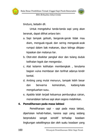 Balai Besar Pembibitan Ternak Unggul Sapi Perah Baturraden
Bibit Berkualitas Solusi Cerdas
Petunjuk Pemeliharaan Bibit Sapi Perah100
tincture, betadin dll.
Untuk mengetahui tanda-tanda sapi yang akan
beranak, dapat dilihat antara lain:
a. Sapi tampak gelisah, bergerak-gerak tidak mau
diam, menguak-nguak dan sering mengacak-acak
rumput dalam bak makanan, daun telinga dikipas-
kipaskan dan matanya liar.
b. Otot-otot disekitar pangkal ekor dan tulang duduk
kelihatan legok dan mengendur.
c. Alat kelamin kelihatan membengkak , terutama
bagian vulva membesar dan terlihat adanya lendir
kental.
d. Ambing yang mulai menurun, tampak lebih besar
dan berwarna kemerahan, kadang-kala
mengeluarkan susu.
e. Apabila telah terjadi keluarnya pembungkus cairan,
menandakan bahwa sapi akan segera melahirkan.
4. Pemeliharaan pada masa laktasi
Pemeliharaan sapi - sapi pada masa laktasi,
diperlukan kehati-hatian, karena sapi yang sedang
berproduksi sangat sensitif terhadap keadaan
lingkungan sekelilingnya dan oleh suatu keadaan yang
 