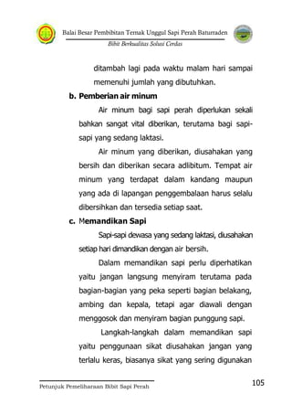 Balai Besar Pembibitan Ternak Unggul Sapi Perah Baturraden
Bibit Berkualitas Solusi Cerdas
Petunjuk Pemeliharaan Bibit Sapi Perah
105
ditambah lagi pada waktu malam hari sampai
memenuhi jumlah yang dibutuhkan.
b. Pemberian air minum
Air minum bagi sapi perah diperlukan sekali
bahkan sangat vital diberikan, terutama bagi sapi-
sapi yang sedang laktasi.
Air minum yang diberikan, diusahakan yang
bersih dan diberikan secara adlibitum. Tempat air
minum yang terdapat dalam kandang maupun
yang ada di lapangan penggembalaan harus selalu
dibersihkan dan tersedia setiap saat.
c. Memandikan Sapi
Sapi-sapi dewasa yang sedang laktasi, diusahakan
setiap hari dimandikan dengan air bersih.
Dalam memandikan sapi perlu diperhatikan
yaitu jangan langsung menyiram terutama pada
bagian-bagian yang peka seperti bagian belakang,
ambing dan kepala, tetapi agar diawali dengan
menggosok dan menyiram bagian punggung sapi.
Langkah-langkah dalam memandikan sapi
yaitu penggunaan sikat diusahakan jangan yang
terlalu keras, biasanya sikat yang sering digunakan
 