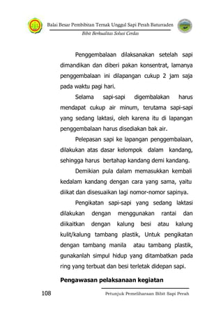Balai Besar Pembibitan Ternak Unggul Sapi Perah Baturraden
Bibit Berkualitas Solusi Cerdas
Petunjuk Pemeliharaan Bibit Sapi Perah108
Penggembalaan dilaksanakan setelah sapi
dimandikan dan diberi pakan konsentrat, lamanya
penggembalaan ini dilapangan cukup 2 jam saja
pada waktu pagi hari.
Selama sapi-sapi digembalakan harus
mendapat cukup air minum, terutama sapi-sapi
yang sedang laktasi, oleh karena itu di lapangan
penggembalaan harus disediakan bak air.
Pelepasan sapi ke lapangan penggembalaan,
dilakukan atas dasar kelompok dalam kandang,
sehingga harus bertahap kandang demi kandang.
Demikian pula dalam memasukkan kembali
kedalam kandang dengan cara yang sama, yaitu
diikat dan disesuaikan lagi nomor-nomor sapinya.
Pengikatan sapi-sapi yang sedang laktasi
dilakukan dengan menggunakan rantai dan
diikaitkan dengan kalung besi atau kalung
kulit/kalung tambang plastik, Untuk pengikatan
dengan tambang manila atau tambang plastik,
gunakanlah simpul hidup yang ditambatkan pada
ring yang terbuat dan besi terletak didepan sapi.
Pengawasan pelaksanaan kegiatan
 