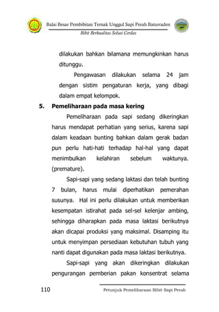 Balai Besar Pembibitan Ternak Unggul Sapi Perah Baturraden
Bibit Berkualitas Solusi Cerdas
Petunjuk Pemeliharaan Bibit Sapi Perah110
dilakukan bahkan bilamana memungkinkan harus
ditunggu.
Pengawasan dilakukan selama 24 jam
dengan sistim pengaturan kerja, yang dibagi
dalam empat kelompok.
5. Pemeliharaan pada masa kering
Pemeliharaan pada sapi sedang dikeringkan
harus mendapat perhatian yang serius, karena sapi
dalam keadaan bunting bahkan dalam gerak badan
pun perlu hati-hati terhadap hal-hal yang dapat
menimbulkan kelahiran sebelum waktunya.
(premature).
Sapi-sapi yang sedang laktasi dan telah bunting
7 bulan, harus mulai diperhatikan pemerahan
susunya. Hal ini perlu dilakukan untuk memberikan
kesempatan istirahat pada sel-sel kelenjar ambing,
sehingga diharapkan pada masa laktasi berikutnya
akan dicapai produksi yang maksimal. Disamping itu
untuk menyimpan persediaan kebutuhan tubuh yang
nanti dapat digunakan pada masa laktasi berikutnya.
Sapi-sapi yang akan dikeringkan dilakukan
pengurangan pemberian pakan konsentrat selama
 