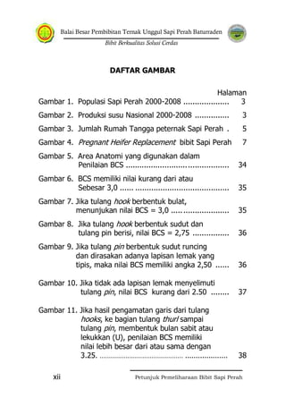 Balai Besar Pembibitan Ternak Unggul Sapi Perah Baturraden
Bibit Berkualitas Solusi Cerdas
Petunjuk Pemeliharaan Bibit Sapi Perahxii
DAFTAR GAMBAR
Halaman
Gambar 1. Populasi Sapi Perah 2000-2008 .................... 3
Gambar 2. Produksi susu Nasional 2000-2008 ............... 3
Gambar 3. Jumlah Rumah Tangga peternak Sapi Perah . 5
Gambar 4. Pregnant Heifer Replacement bibit Sapi Perah 7
Gambar 5. Area Anatomi yang digunakan dalam
Penilaian BCS ............................................. 34
Gambar 6. BCS memiliki nilai kurang dari atau
Sebesar 3,0 ...... ......................................... 35
Gambar 7. Jika tulang hook berbentuk bulat,
menunjukan nilai BCS = 3,0 ......................... 35
Gambar 8. Jika tulang hook berbentuk sudut dan
tulang pin berisi, nilai BCS = 2,75 ................ 36
Gambar 9. Jika tulang pin berbentuk sudut runcing
dan dirasakan adanya lapisan lemak yang
tipis, maka nilai BCS memiliki angka 2,50 ...... 36
Gambar 10. Jika tidak ada lapisan lemak menyelimuti
tulang pin, nilai BCS kurang dari 2.50 ........ 37
Gambar 11. Jika hasil pengamatan garis dari tulang
hooks, ke bagian tulang thurl sampai
tulang pin, membentuk bulan sabit atau
lekukkan (U), penilaian BCS memiliki
nilai lebih besar dari atau sama dengan
3.25. ……………………………………… .................... 38
 