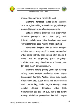 Balai Besar Pembibitan Ternak Unggul Sapi Perah Baturraden
Bibit Berkualitas Solusi Cerdas
Petunjuk Pemeliharaan Bibit Sapi Perah
123
ambing atau putingnya menderita sakit.
Bilamana terdapat tanda-tanda tersebut
pada sebagian ambing atau seluruhnya, sebaiknya
jangan dilakukan pemerahan dengan mesin.
Setelah ambing diperiksa dan dibersihkan
kemudian perangkat mesin perah yang telah
disiapkan sebelumnya dalam keadaan siap pakai
"on" dipasangkan pada masing-masing puting.
Pemerahan berjalan dan air susu mengalir
kedalam ember pengumpul. Lamanya. pemerahan
untuk setiap individu sapi kurang lebih selama 8
menit. Hal ini tergantung pada banyaknya
produksi susu yang dihasilkan serta kemampuan
dari pada mesin perah itu sendiri.
Bilamana corong puting (teat cup) kadang-
kadang lepas dengan sendirinya maka segera
dipasangkan kembali. Apabila aliran susu sudah
mulai sedikit atau sudah tidak ada aliran susu ke
mesin perah lagi, maka segera corong puting
tersebut dilepas. Kemudian untuk lebih
menuntaskan sisa-sisa air susu yang ada dalam
ambing dilakukan pemerahan kembali dengan
 