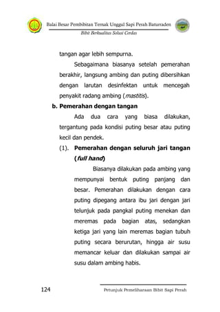 Balai Besar Pembibitan Ternak Unggul Sapi Perah Baturraden
Bibit Berkualitas Solusi Cerdas
Petunjuk Pemeliharaan Bibit Sapi Perah124
tangan agar lebih sempurna.
Sebagaimana biasanya setelah pemerahan
berakhir, langsung ambing dan puting dibersihkan
dengan larutan desinfektan untuk mencegah
penyakit radang ambing (mastitis).
b. Pemerahan dengan tangan
Ada dua cara yang biasa dilakukan,
tergantung pada kondisi puting besar atau puting
kecil dan pendek.
(1). Pemerahan dengan seluruh jari tangan
(full hand)
Biasanya dilakukan pada ambing yang
mempunyai bentuk puting panjang dan
besar. Pemerahan dilakukan dengan cara
puting dipegang antara ibu jari dengan jari
telunjuk pada pangkal puting menekan dan
meremas pada bagian atas, sedangkan
ketiga jari yang lain meremas bagian tubuh
puting secara berurutan, hingga air susu
memancar keluar dan dilakukan sampai air
susu dalam ambing habis.
 