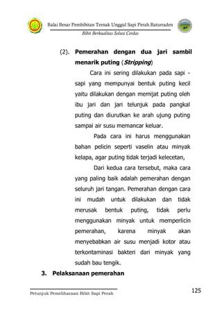 Balai Besar Pembibitan Ternak Unggul Sapi Perah Baturraden
Bibit Berkualitas Solusi Cerdas
Petunjuk Pemeliharaan Bibit Sapi Perah
125
(2). Pemerahan dengan dua jari sambil
menarik puting (Stripping)
Cara ini sering dilakukan pada sapi -
sapi yang mempunyai bentuk puting kecil
yaitu dilakukan dengan memijat puting oleh
ibu jari dan jari telunjuk pada pangkal
puting dan diurutkan ke arah ujung puting
sampai air susu memancar keluar.
Pada cara ini harus menggunakan
bahan pelicin seperti vaselin atau minyak
kelapa, agar puting tidak terjadi kelecetan,
Dari kedua cara tersebut, maka cara
yang paling baik adalah pemerahan dengan
seluruh jari tangan. Pemerahan dengan cara
ini mudah untuk dilakukan dan tidak
merusak bentuk puting, tidak perlu
menggunakan minyak untuk memperlicin
pemerahan, karena minyak akan
menyebabkan air susu menjadi kotor atau
terkontaminasi bakteri dari minyak yang
sudah bau tengik.
3. Pelaksanaan pemerahan
 