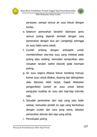 Balai Besar Pembibitan Ternak Unggul Sapi Perah Baturraden
Bibit Berkualitas Solusi Cerdas
Petunjuk Pemeliharaan Bibit Sapi Perah
127
perasaan, sampai semua air susu keluar dengan
tuntas.
e. Sebelum pemerahan berakhir bilamana perlu
semua puting diperah kembali dengan cara
pemerahan dengan dua jari (stripping) sehingga
air susu habis sama sekali.
f. Cucilah ambing dengan antiseptik untuk
membersihkan sisa-sisa susu yang melekat pada
puting atau ambing, kemudian semprotkan atau
celupkan larutan iodine (biocid) pada keempat
puting,
g. Air susu segera dibawa keluar kandang menuju
kamar susu untuk ditakar, disaring dan didinginkan
atau diproses lebih lanjut. Dapat dilakukan
pengambilan contoh air susu untuk bahan
pengujian kualitas air susu dari tiap-tiap indrvidu
sapi.
h. Sesudah pemerahan dari sapi yang satu telah
selesai, kemudian pindah ke sapi yang berikutnya
dengan urutan dan cara yang sama, lakukan
pemerahan dimulai dari sapi yang sehat.
i. Pencelupan puting
 