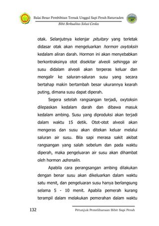 Balai Besar Pembibitan Ternak Unggul Sapi Perah Baturraden
Bibit Berkualitas Solusi Cerdas
Petunjuk Pemeliharaan Bibit Sapi Perah132
otak. Selanjutnya kelenjar pituitary yang terletak
didasar otak akan mengeluarkan hormon oxytoksin
kedalam aliran darah. Hormon ini akan menyebabkan
berkontraksinya otot disekitar alveoli sehingga air
susu didalam alveoli akan terperas keluar dan
mengalir ke saluran-saluran susu yang secara
bertahap makin bertambah besar ukurannya kearah
puting, dimana susu dapat diperah.
Segera setelah rangsangan terjadi, oxytoksin
dilepaskan kedalam darah dan dibawa masuk
kedalam ambing. Susu yang diproduksi akan terjadi
dalam waktu 15 detik. Otot-otot alveoli akan
mengeras dan susu akan ditekan keluar melalui
saluran air susu. Bila sapi merasa sakit akibat
rangsangan yang salah sebelum dan pada waktu
diperah, maka pengeluaran air susu akan dihambat
oleh hormon adrenalin.
Apabila cara perangsangan ambing dilakukan
dengan benar susu akan dikeluarkan dalam waktu
satu menit, dan pengeluaran susu hanya berlangsung
selama 5 - 10 menit. Apabila pemerah kurang
terampil dalam melakukan pemerahan dalam waktu
 