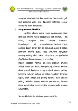 Balai Besar Pembibitan Ternak Unggul Sapi Perah Baturraden
Bibit Berkualitas Solusi Cerdas
Petunjuk Pemeliharaan Bibit Sapi Perah
133
yang terbatas tersebut, kemungkinan hanya setengah
dari produksi yang bisa diperoleh sehingga secara
ekonomis akan merugikan.
7. Pengawasan Mastitis
Mastitis adalah suatu reaksi peradangan pada
jaringan ambing yang disebabkan oleh kuman, zat
kimia, ataupun luka karena mekanis.
Peradangan ini menyebabkan bertambahnya
protein dalam darah dan sel-sel darah putih di dalam
jaringan ambing susu. Pada umumya penyebab
radang ambing oleh bakteri Streptococcus agalactiae
(SAG) dan Staphylococcus aureus (SA)
Dalam keadaan normal air susu didalam ambing
adalah steril dan tidak mengandung kuman. Kuman
dapat masuk kedalam puting melalui saluran puting,
biasanya saluran puting ini dalam keadaan tertutup
rapat, akan tetapi bila puting terluka atau saluran
puting terbuka sesaat setelah pemerahan, kuman
akan masuk dan menyebabkan radang pada ambing
(mastitis).
Secara klinis terdapat dua macam mastitis :
 